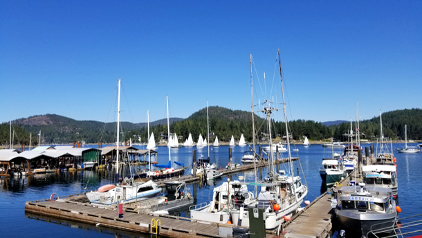 Madeira Park Docks